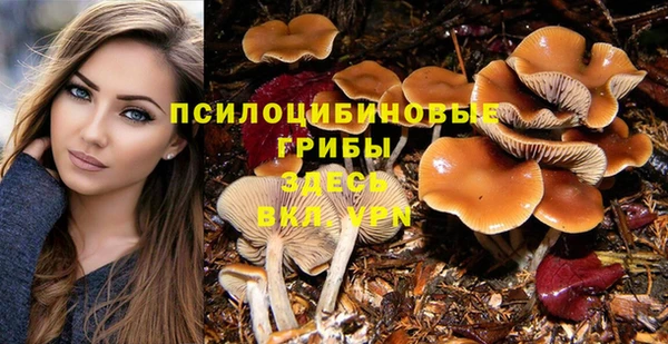 трава Баксан