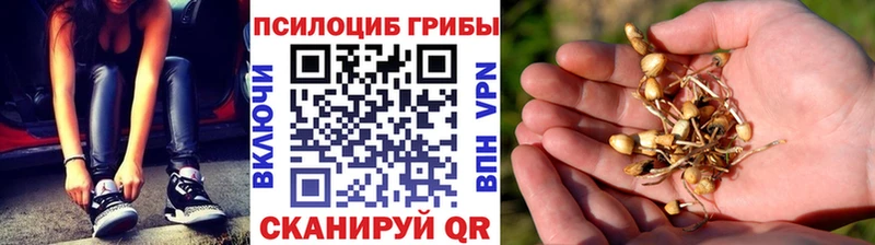 магазин продажи наркотиков  Онега  Псилоцибиновые грибы мухоморы 