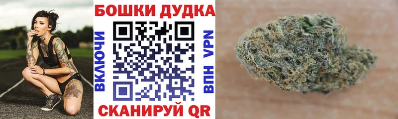 Бошки Шишки марихуана  сайты даркнета состав  Онега  кракен зеркало 